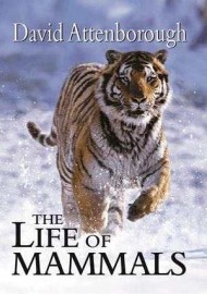 BBC A Vida Dos Mamferos - The Life of Mammals - David Attenborough - Legendado - Digital