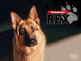 Rex O Co Polcia - Kommissar Rex - Srie Completa e Legendada