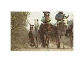 Os Tropeiros - Globo Rural - Cavalos