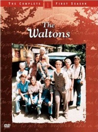 Os Waltons - The Waltons - 1ª Temporada Completa - Dublado -  Digital
