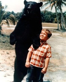 Ben, O Urso Amigo - Gentle Ben - Coleo