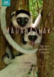 BBC Madagascar - Ilha das Maravilhas - Legendado - Digital