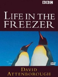 BBC A Vida no Freezer- Life in the Freezer - Legendado - Digital