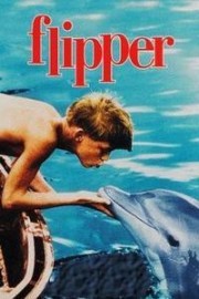 Flipper - Coleção Dublada
