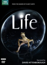 BBC Vida - Life - Legendado - Digital