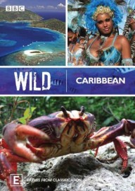 BBC Caribe Selvagem - Wild Caribean - Legendado - Digital