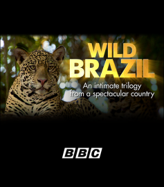 BBC Brasil Selvagem - Wild Brazil - Legendado - Digital