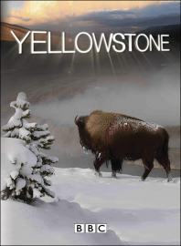 BBC Yellowstone - Legendado - Digital