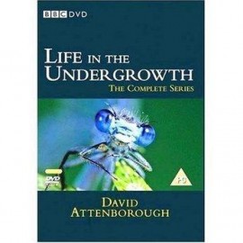 BBC A Vida nos Arbustos - Life in the Undergrowth - Legendado - Digital