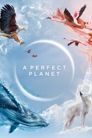 BBC Um Planeta Perfeito - Perfect Planet